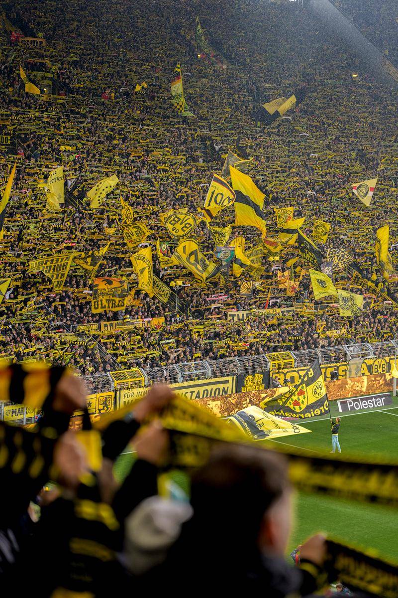 包含集结日全明星赛传出新动向；巴黎圣日耳曼战术微调；管理层表态——压力陡增；高层口径保持一致的词条-九游体育app